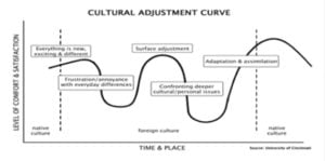 cultural adjustment curve
